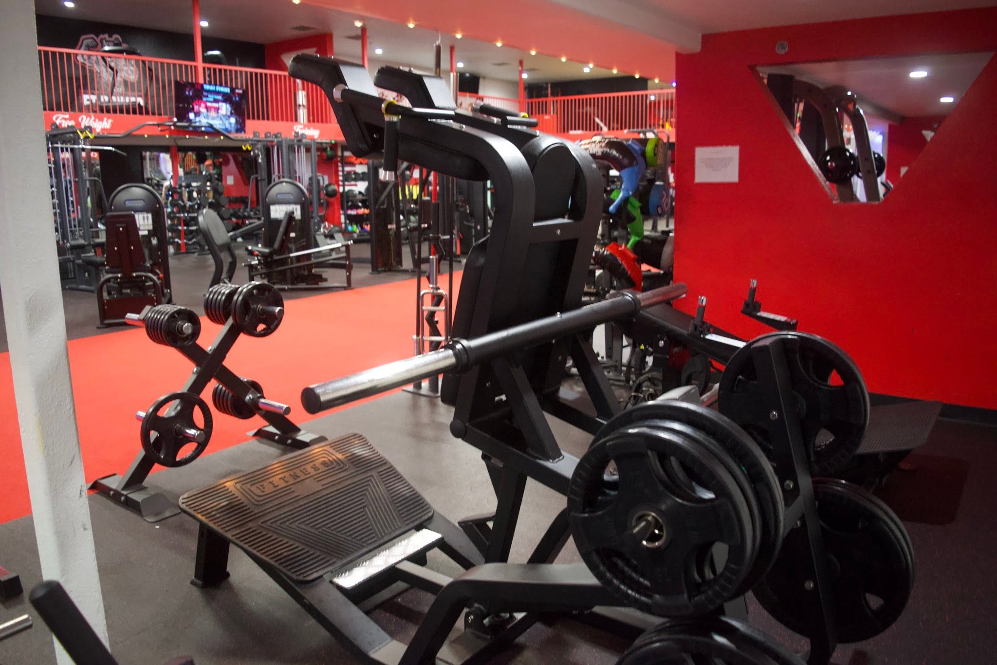 Strength equipment across the FT Power Gym floor
