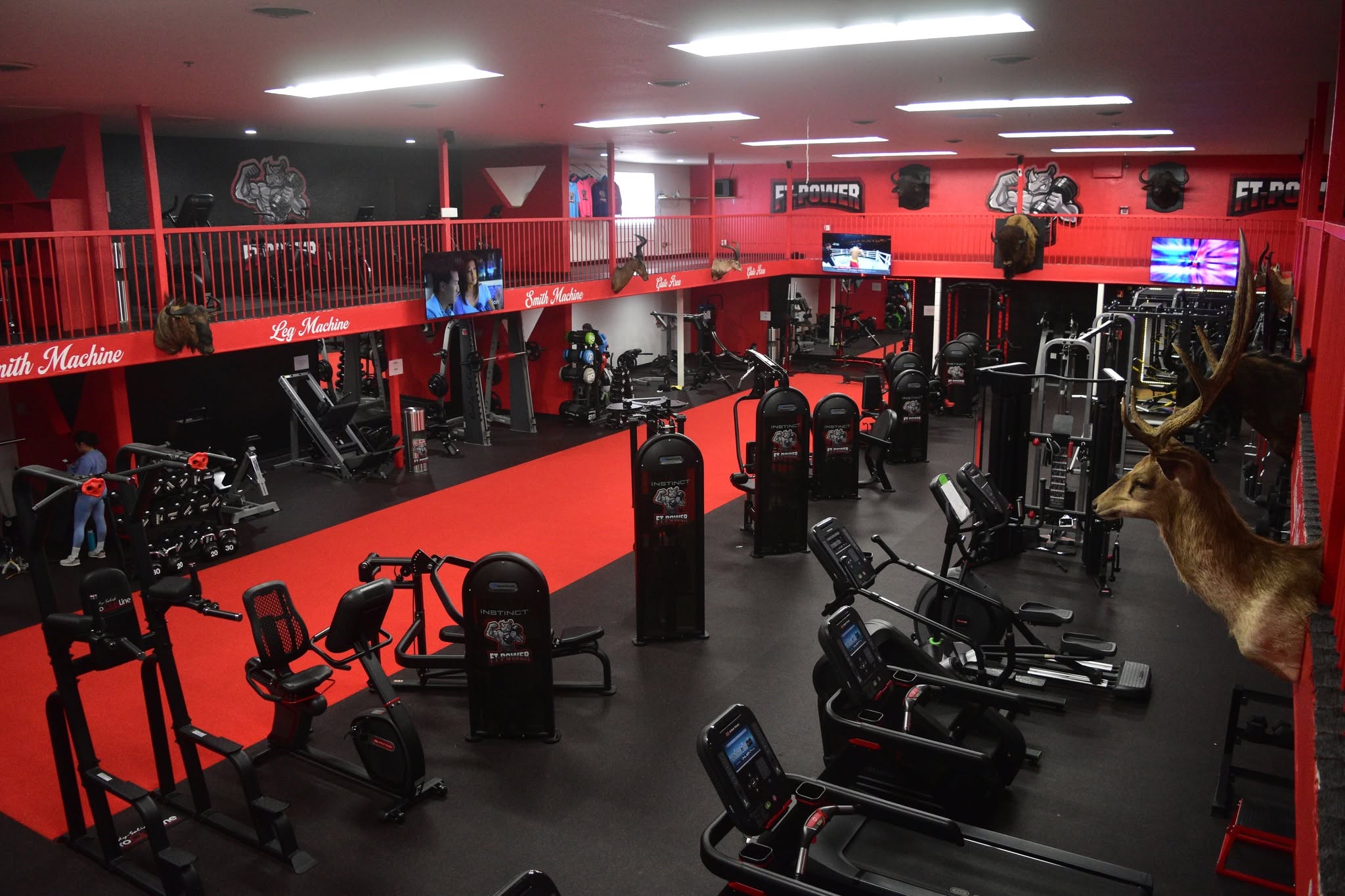 FT Power gym floor
