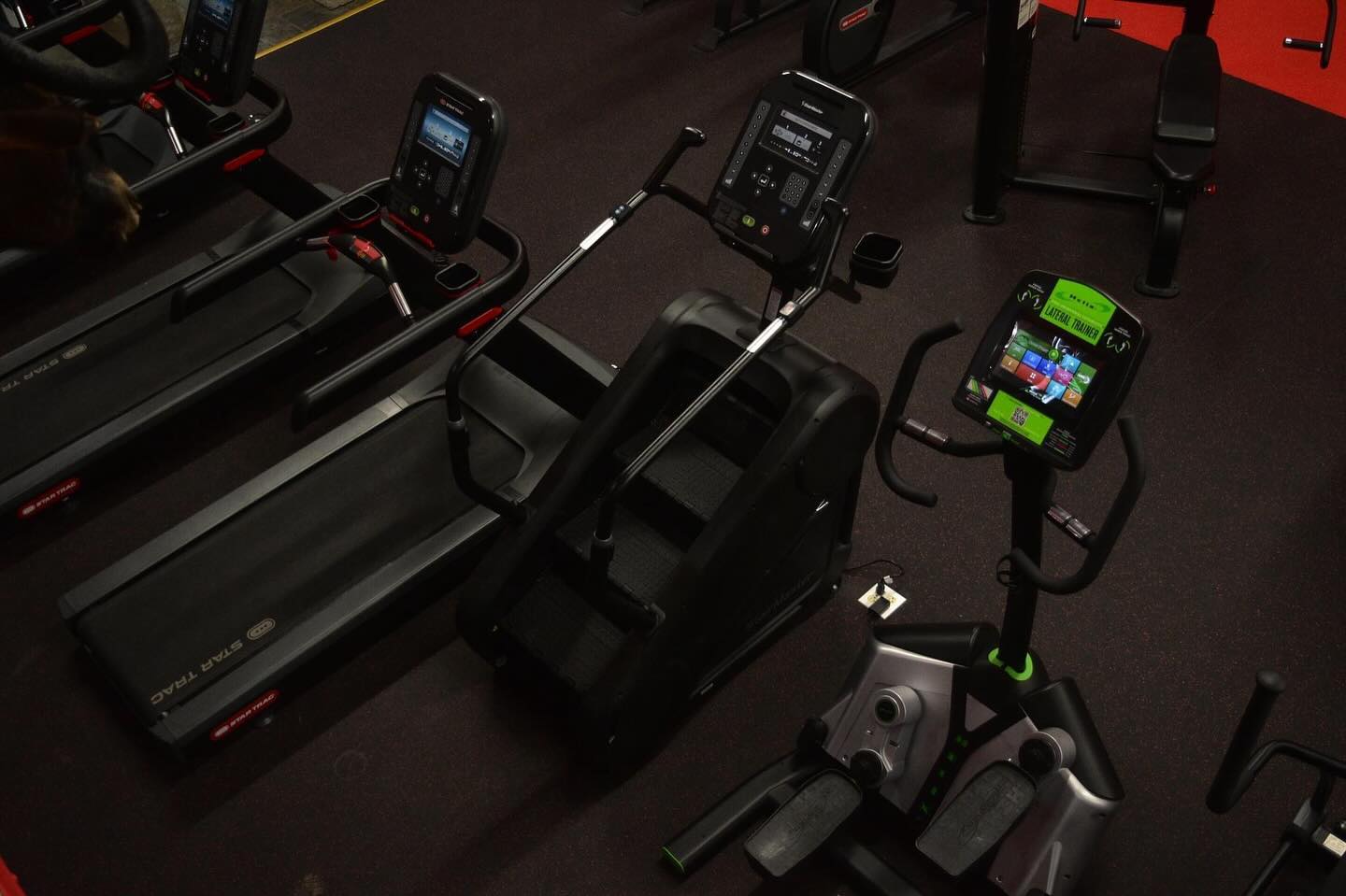Cardio machines including treadmills, a step machine, and a bike